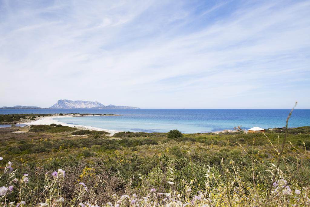 Residence Approdo Verde San Teodoro  Luaran gambar